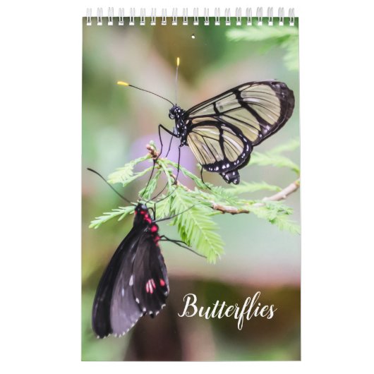 Calendrier Papillons (Protection)