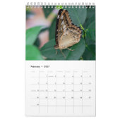 Calendrier Papillons (Feb 2027)