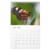 Calendrier Papillons (Jan 2027)