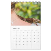 Calendrier Papillons (Mar 2027)