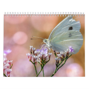Calendrier Papillons 2017