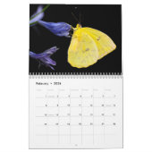 Calendrier Papillons 2024 (Feb 2026)