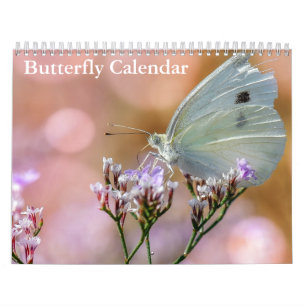 Calendrier Papillons 2024