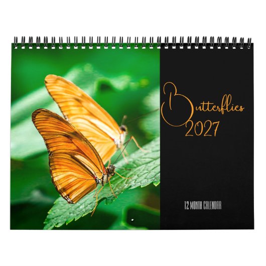 Calendrier Papillons 2027 (Protection)
