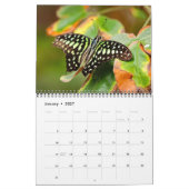 Calendrier Papillons 2027 (Jan 2027)