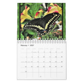 Calendrier - Papillons à queue noire de l'Est (Feb 2027)