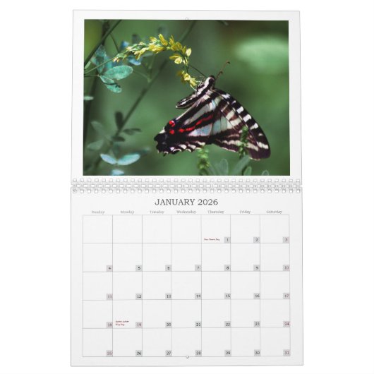 Calendrier Papillons, abeilles et autres politiciens (Jan 2026)