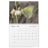 Calendrier Papillons de la sierra et des cascades (Feb 2027)