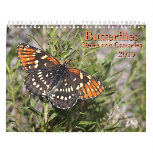 Calendrier Papillons de la sierra et des cascades (Protection)