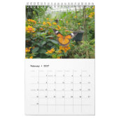 Calendrier Papillons de la Thaïlande (Feb 2027)
