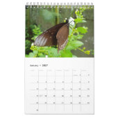 Calendrier Papillons de la Thaïlande (Jan 2027)