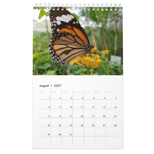 Calendrier Papillons de la Thaïlande (Aug 2027)