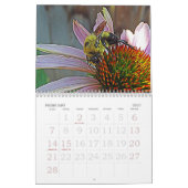 Calendrier Papillons et abeilles (Feb 2027)