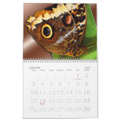 Calendrier Papillons et abeilles (Jan 2027)