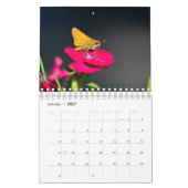 Calendrier Papillons et amis (Jan 2027)