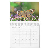 Calendrier Papillons et amis (Feb 2027)