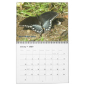 Calendrier - Papillons et papillons (Jan 2027)