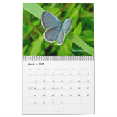 Calendrier - Papillons et papillons (Mar 2027)