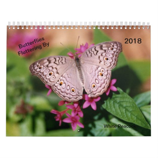 Calendrier Papillons flottant par (Protection)