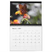 Calendrier papillons sur 12 mois (Feb 2027)