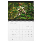 Calendrier papillons sur 12 mois (Jan 2027)