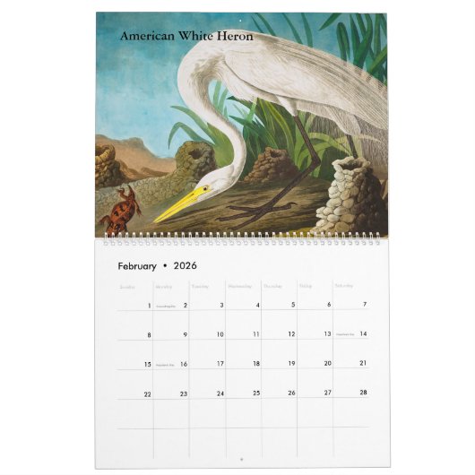 Calendrier par John James Audubon (Feb 2026)