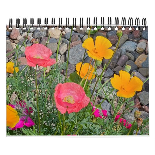 Calendrier Parade des crapauds (Protection)