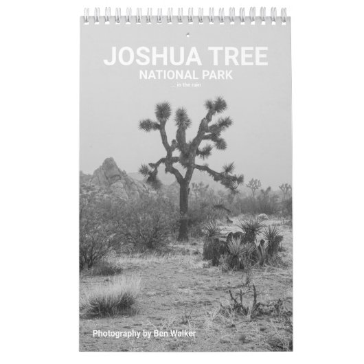Calendrier Parc national de Joshua Tree ... Dans le calendrie (Protection)