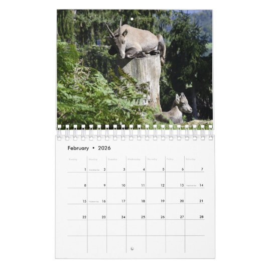 Calendrier Parenté animale (Feb 2026)