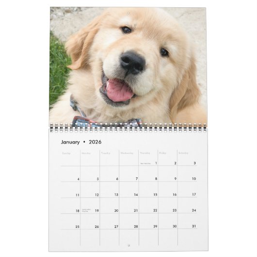 Calendrier ParkerPup 2022 (Jan 2026)