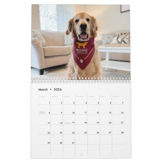 Calendrier ParkerPup 2023 (Mar 2026)