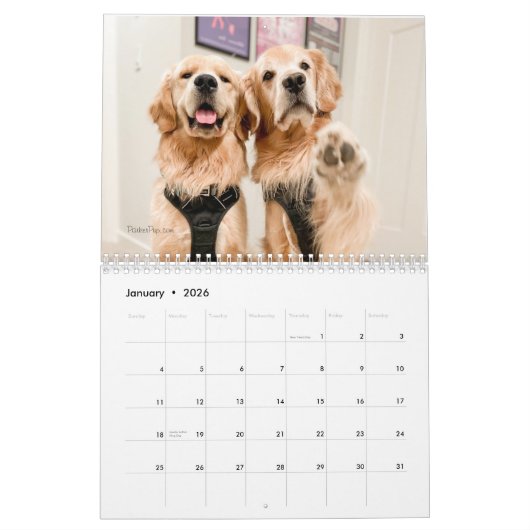 Calendrier ParkerPup 2023 (Jan 2026)