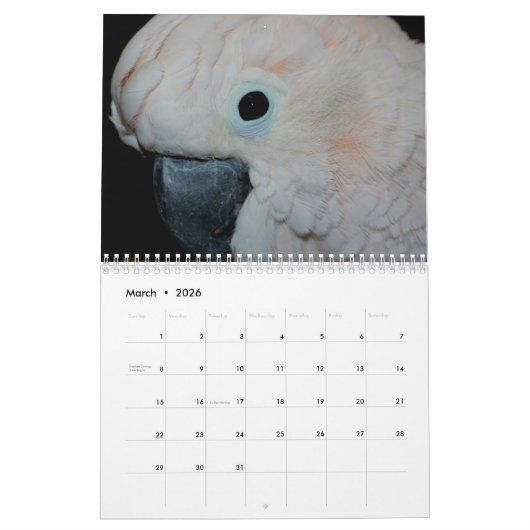 Calendrier Parrots mignons (Mar 2026)