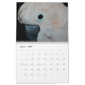 Calendrier Parrots mignons (Mar 2027)