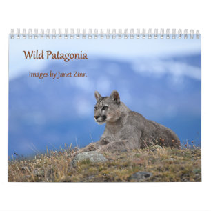 Calendrier Patagonie sauvage : Pumas et faune