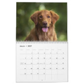 Calendrier Paws Through the Seasons Calendar (Mar 2027)