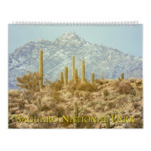 Paysage du parc national de Saguaro