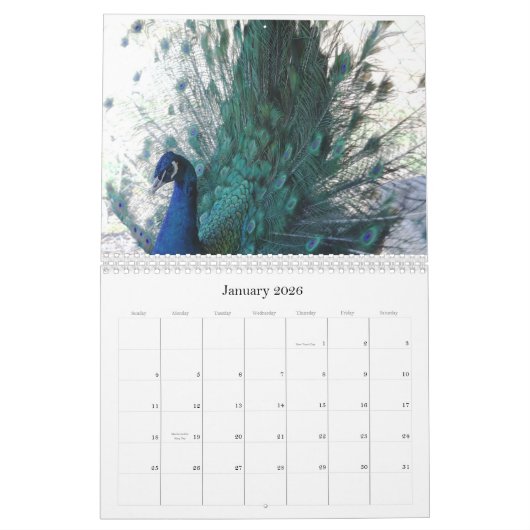 Calendrier Peacock 2024 (Jan 2026)
