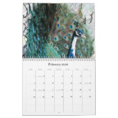 Calendrier Peacock 2024 (Feb 2026)