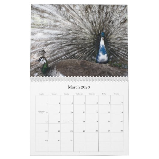 Calendrier Peacock 2024 (Mar 2026)