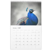 Calendrier Peacock 2025 (Jan 2027)