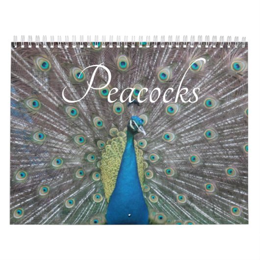 Calendrier Peacock Calendar (Protection)