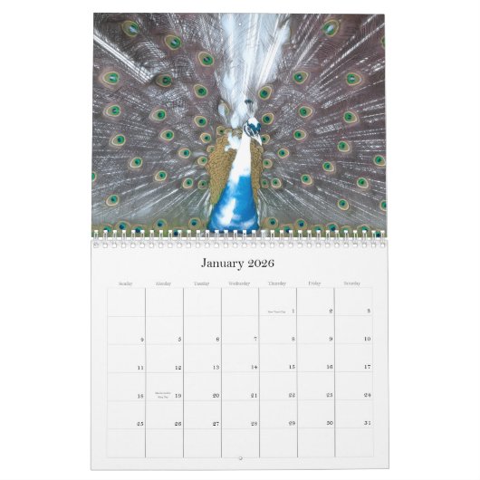 Calendrier Peacock Calendar (Jan 2026)
