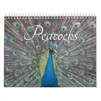 Calendrier Peacock Calendar