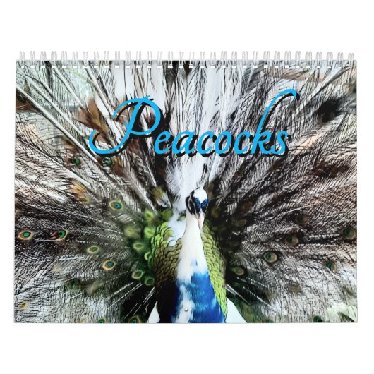 Calendrier Peacock Calendar (Protection)