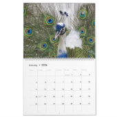 Calendrier Peacock Calendar 2026 Wall Photo (Jan 2026)
