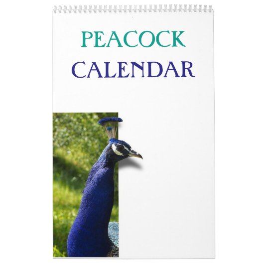 Calendrier Peacock coloré 2025 (Protection)