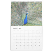 Calendrier Peacock coloré 2025 (Jan 2027)
