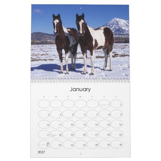 Calendrier Peignez le cheval (Jan 2027)