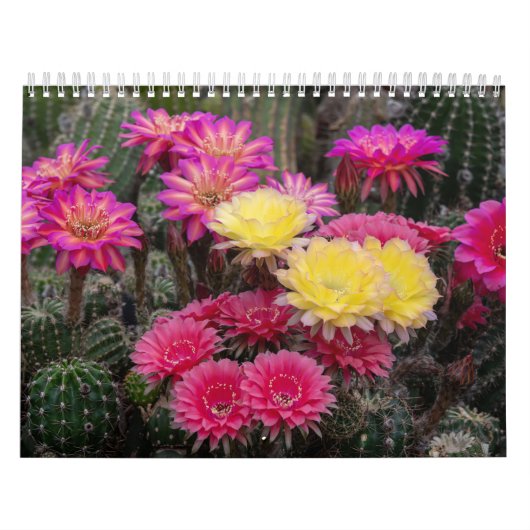Calendrier Peinture à fleur de cactus (Protection)
